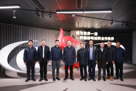 嘉兴市委常委、常务副市长颜海荣莅临新凤鸣调研指导